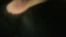 Geil, film 00:00:00, 158 reacties, 506 stemmen