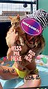 Geile Tinder Date, foto 1170x2145, 0 reacties, 6 stemmen