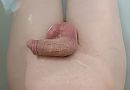 Geschoren 3, foto 3367x2351, 2 reacties, 7 stemmen