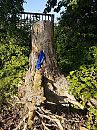 Gevonden string van Ridz, foto 3000x4000, 4 reacties, 18 stemmen