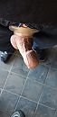 Gewoon, foto 1944x4000, 1 reacties, 6 stemmen