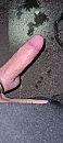 Gister avond....., foto 1801x4000, 0 reacties, 7 stemmen