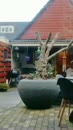 Goedemorgen, film 00:00:13, 4 reacties, 12 stemmen
