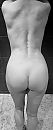 Goedemorgen..., foto 1663x4000, 11 reacties, 51 stemmen