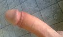Gratis te gebruiken, foto 1707x1024, 3 reacties, 9 stemmen