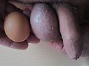 Grooooooote eieren, foto 4000x3000, 8 reacties, 25 stemmen