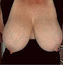 Groter kunnen ze niet meer, foto 828x848, 10 reacties, 71 stemmen