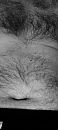 Haartjes, foto 1188x2640, 0 reacties, 0 stemmen