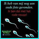 Haast, foto 720x720, 0 reacties, 9 stemmen