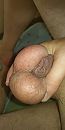 Hand vol kloten, foto 2000x4000, 1 reacties, 10 stemmen