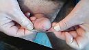 Hap ...., foto 640x360, 0 reacties, 1 stemmen