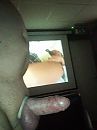 Hard and horny in, foto 1932x2576, 0 reacties, 9 stemmen