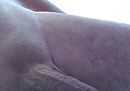 Hard, foto 424x300, 0 reacties, 1 stemmen