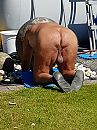 Herrlijk uitzicht, foto 3000x4000, 17 reacties, 65 stemmen