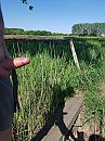 Het groeit en bloeit, foto 3000x4000, 1 reacties, 3 stemmen