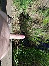 Het groeit en bloeit, foto 3000x4000, 0 reacties, 1 stemmen