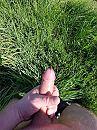 Het groeit en bloeit, foto 3000x4000, 0 reacties, 3 stemmen