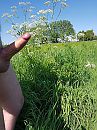 Het groeit en bloeit, foto 3000x4000, 0 reacties, 5 stemmen