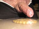Het koekje, 2, foto 1600x1200, 6 reacties, 7 stemmen