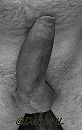 Hij mocht weer buitenspelen, foto 1022x1600, 0 reacties, 2 stemmen