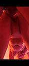 Hondjes, foto 1080x2408, 0 reacties, 11 stemmen
