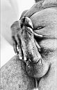 Hij moet..., foto 654x1024, 2 reacties, 8 stemmen