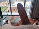 Hotel in Helmond...., foto 4000x3000, 0 reacties, 7 stemmen