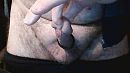 Houd ..., foto 640x360, 0 reacties, 1 stemmen