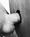 How does it look on…, foto 2965x3602, 35 reacties, 75 stemmen