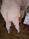 Huge but so horny, foto 3000x4000, 4 reacties, 18 stemmen