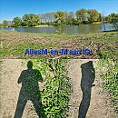 IG 2022, 1, foto 2880x2880, 7 reacties, 28 stemmen