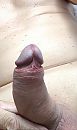 Iets beter, foto 1478x2467, 3 reacties, 8 stemmen