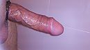 If you like it..., foto 1000x563, 8 reacties, 24 stemmen