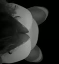 Ik denk…., film 00:00:14, 15 reacties, 87 stemmen