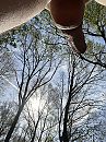 Ik wijs de zon aan, foto 2316x3088, 1 reacties, 6 stemmen