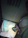 In Front the big screen, foto 1932x2576, 0 reacties, 3 stemmen