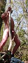 In het bos, foto 1472x3264, 0 reacties, 2 stemmen