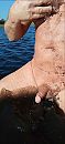 In het water spelen., foto 720x1560, 2 reacties, 9 stemmen