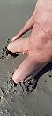 In het zand, foto 1204x2608, 0 reacties, 7 stemmen