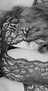 Inkijk, foto 542x1024, 6 reacties, 29 stemmen