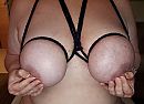 Inpakken of uitpakken?, foto 1156x840, 15 reacties, 97 stemmen