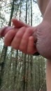 Into the wood, film 00:00:00, 8 reacties, 22 stemmen