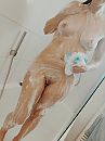 Inzepen ;), foto 3000x4000, 28 reacties, 134 stemmen