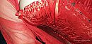 It's a red woman's world, foto 1280x622, 4 reacties, 34 stemmen