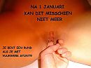 Je bent een rund, foto 1024x768, 3 reacties, 14 stemmen