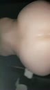 Jiggle jiggle, film 00:00:19, 7 reacties, 71 stemmen