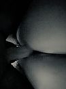 Just doggy…., foto 1536x2048, 8 reacties, 36 stemmen