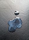 Kakelvers, foto 3000x4000, 2 reacties, 8 stemmen