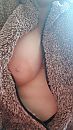 Kiekeboe......., foto 1152x2048, 1 reacties, 13 stemmen