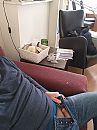Kiekeboe, foto 2448x3264, 3 reacties, 2 stemmen
